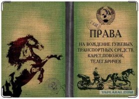 Смешные картинки