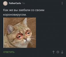 Фотопроект "Карантин": хроники апокалипсиса