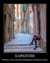 Прикольные и смешные картинки
