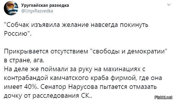 фиг с ней, пусть драпает, а вот с сенатора бы спросить за отмаз....