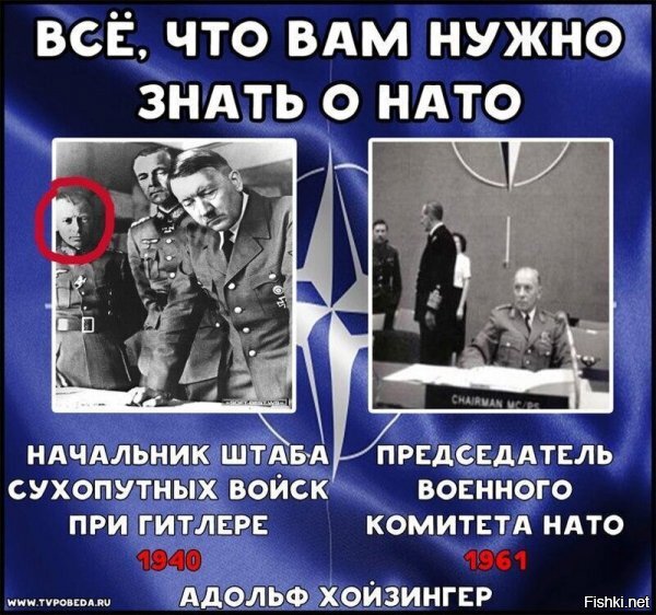 Политические комментарии из инета