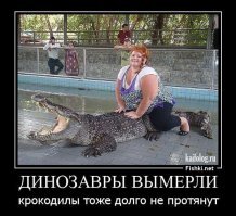 Полицейский оседлал крокодила, забравшегося в чужой двор