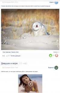 Нарочно не придумаешь...