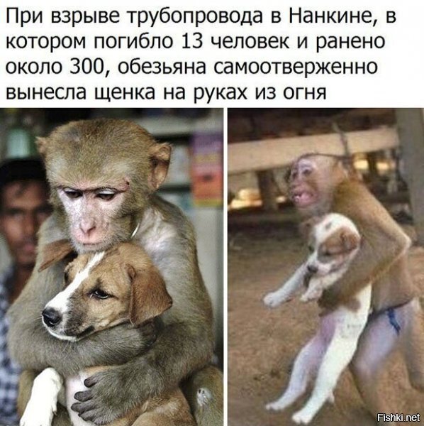 кажись, она первую не донесла все-таки..