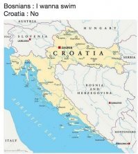 Прикольные и смешные картинки