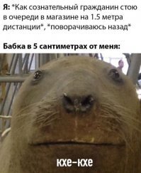 Бабку даже жалко, но что это за привычка вставать впритык? И дело не в нынешней ситуации. Я этого никогда не понимал. Встанут прямо впритык! Типа если ты на 30 см ближе к кассе, то быстрей пробьют что ли?
Мемчик в тему))