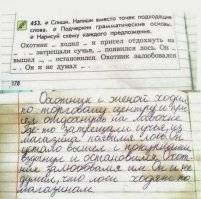 Лоси не только ныряют , а еще и по магазинам ходят
