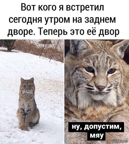 Какая красавица!