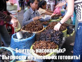 10 фото, которые напугают вас, даже если у вас не было инсектофобии