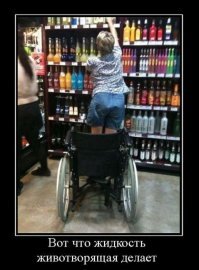 Смешные картинки