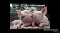 Прикольные и смешные картинки