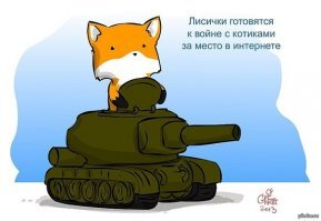Лиса: 400 видов животных в рационе. Доминация с помощью хитрости