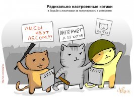 Лиса: 400 видов животных в рационе. Доминация с помощью хитрости