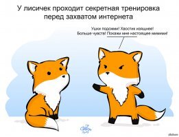 Лиса: 400 видов животных в рационе. Доминация с помощью хитрости