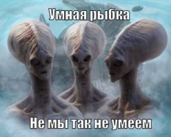 Что такое чудо. Может быть и это