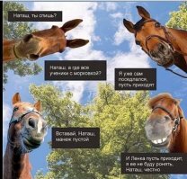 Коты - ладно, тут недавно было: