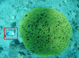 Идея остроумная, но "программа" - громко сказано. На фотографиях видна палитра. Программе всего-то надо подогнать настройки цветов так, что бы палитра на фото попала в заранее заданный стандарт. Это можно и вручную сделать. 
Пы.сы. и "без воды" рыбы вам летать не будут