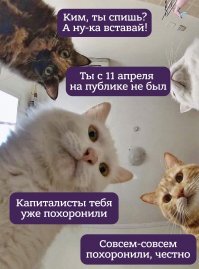 Советник президента Южной Кореи заявил, что Ким Чен Ын жив и здоров