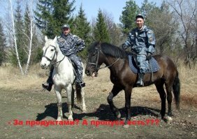 Прикольные и смешные картинки