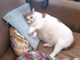 Любимая рубрика "Ожидание и реальность". И почему нам всегда так не везет?