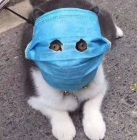 Я же говорил, что еще не вечер. Странно, что этот пост не схлопотал минус в момент его появления на свет. Может мои тайные поклонники утеряли оперативную бдительность?


.