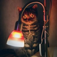 Пришел выселять, но от увиденного сжалился