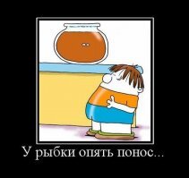 напомнило