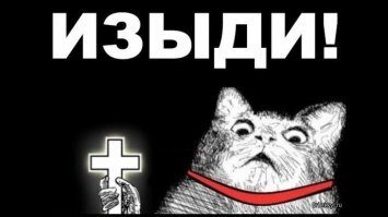 "Наташ, ты спишь?": подборка мемов с котиками Наташи, которые осуждают, но не сдаются