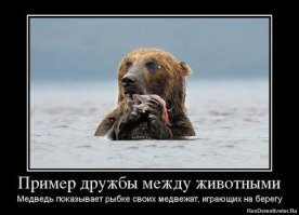 Прикольные и смешные картинки