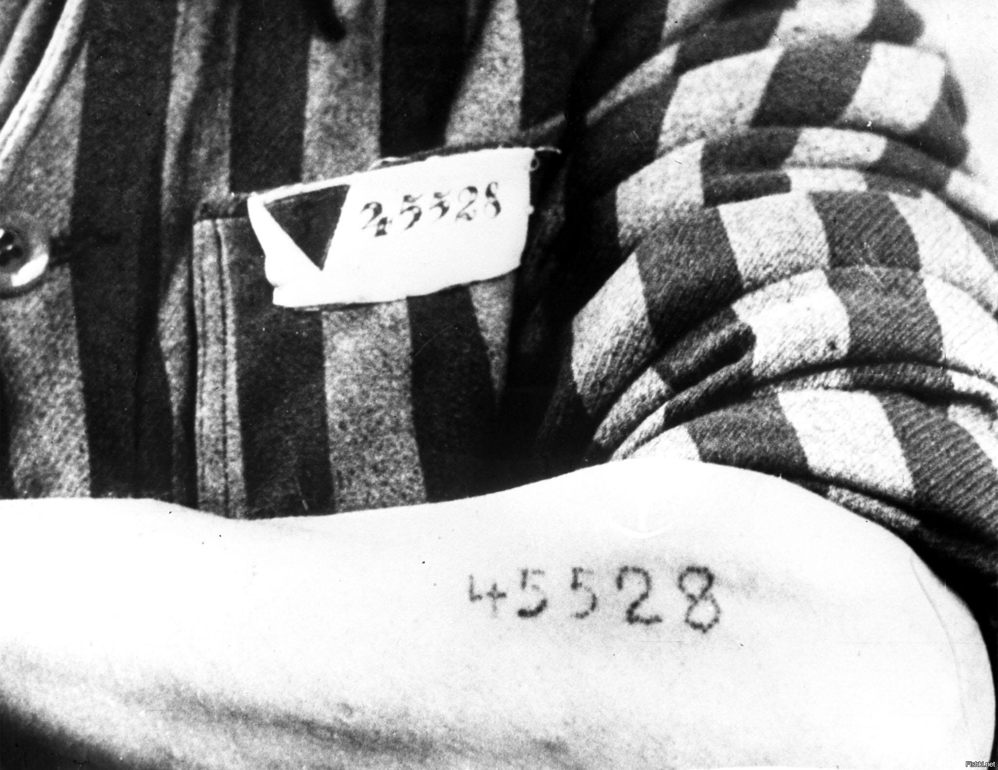 Татуировки узников Освенцима