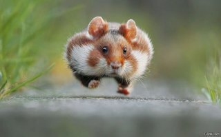 А вот это по-настоящему страшно.