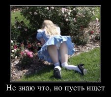 Смешные картинки