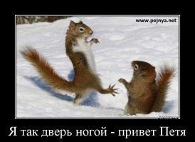 Прикольные и смешные картинки