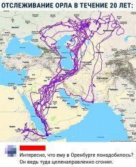 За платком пуховым)))))))