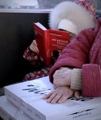Прикольные и смешные картинки