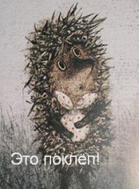 Женщина ловила жуков с помощью пива, но итог оказался неожиданным