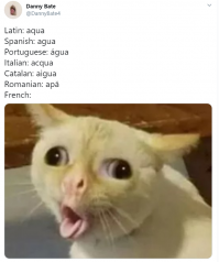 Французский язык - это просто