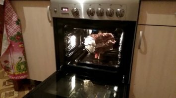 Прикольные и смешные картинки
