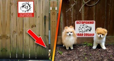 Скрины из социальных сетей