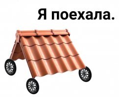 Скрины из социальных сетей