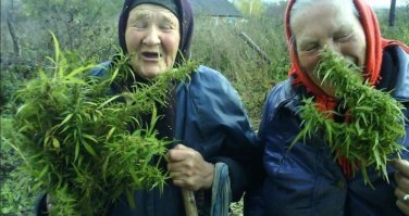 Скрины из социальных сетей