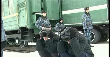 Расскажи это им