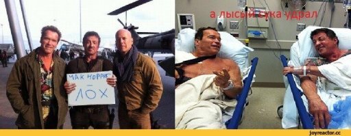 Что случилось с карьерой Чака Норриса