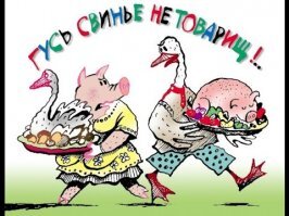 Гусь свинье не товарищ!