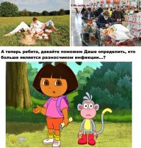 Полцарства за шашлык