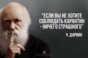 А тут мил человек, дело вовсе не в интеллекте. Тут, понимаешь, законы природы