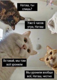 Скрины из социальных сетей