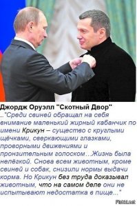 «Отнюдь не богато живет»: Соловьев вступился за Малышеву