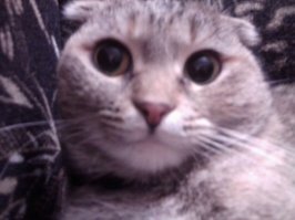 На мою похож.