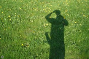 Самый доступный челлендж весны  